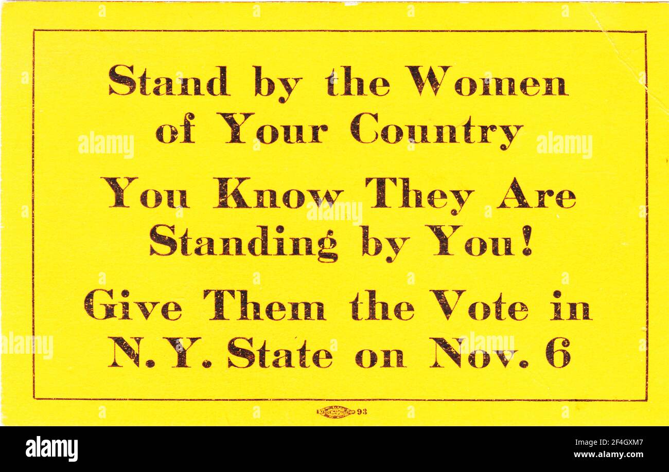 Wahlpostkarte, die ein Referendum über die Rechte der Frauen im Staat New York fördert, mit dem Text "stehe den Frauen deines Landes bei, du weißt, sie stehen dir bei! Geben Sie ihnen die Wahl in NY State am 6. November', 1917. Fotografie von Emilia van Beugen. () Stockfoto