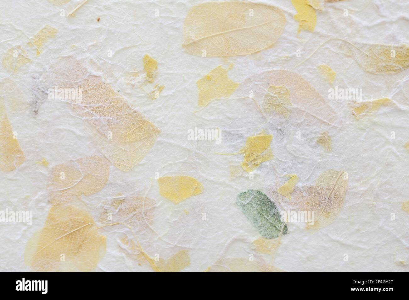 Gestreifte Blumen auf Mulberry Papier Textur Hintergrund Stockfoto