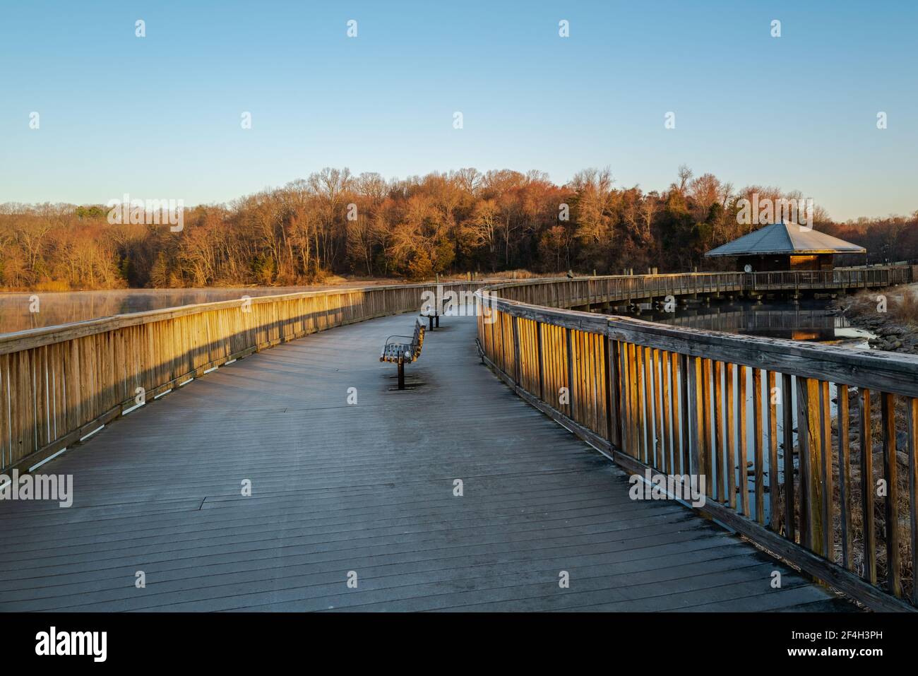 Die Promenade und die Bäume im Lake Fairfax Park sind in goldenes Morgenlicht getaucht. Stockfoto
