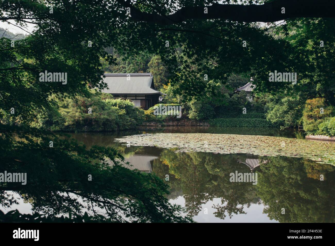 Japanischer Tempel mit japanischem Ahornbaum und Fluss Stockfoto