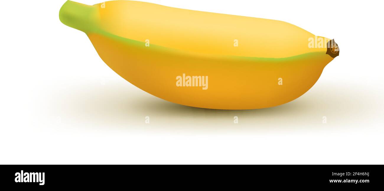 Realistische Baby Banane isoliert auf weißem Hintergrund. Tropische Früchte. Realistische Vektordarstellung Stock Vektor