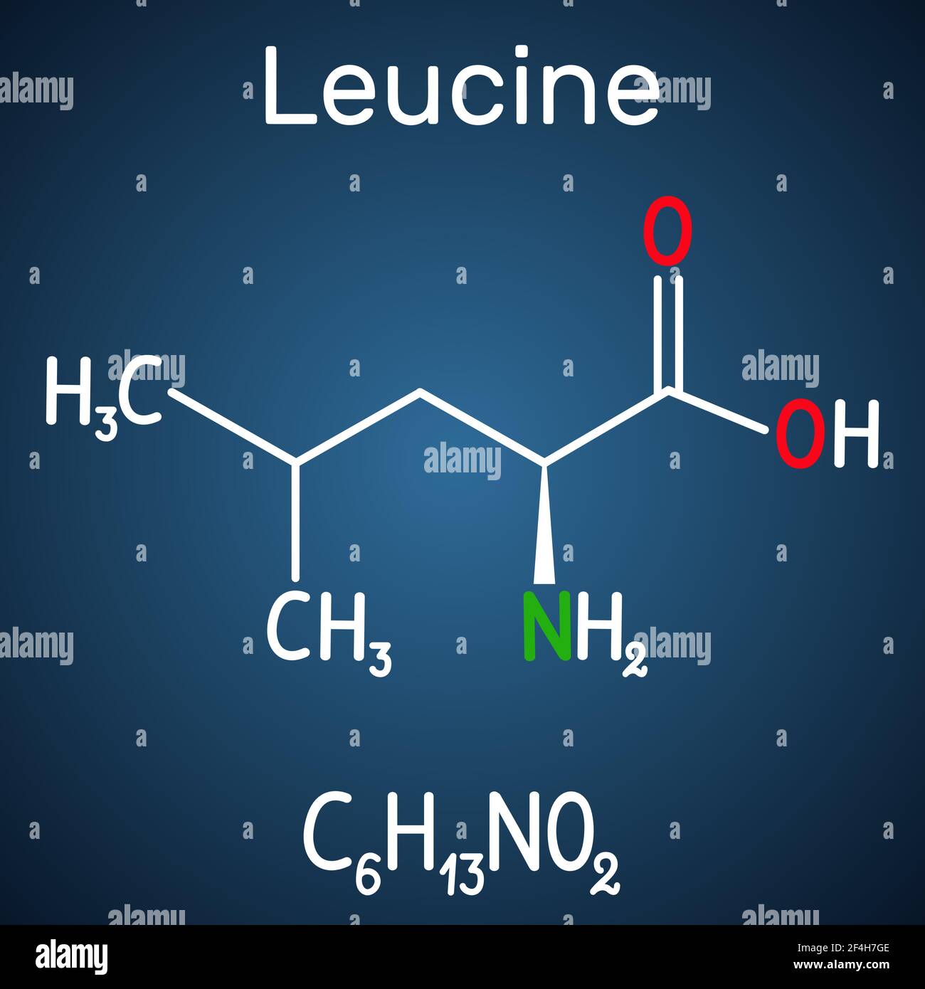 Leucin ( L- Leucin, Leu, L) Molekül. Es ist essentielle Aminosäure. Strukturelle chemische Formel auf dem dunkelblauen Hintergrund Stock Vektor