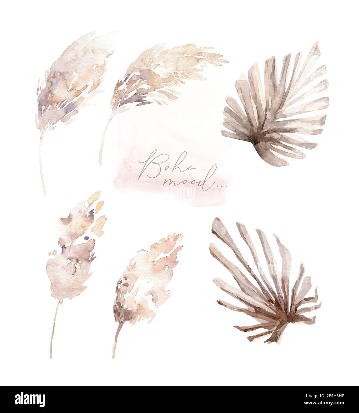 Aquarell-Set mit getrocknetem Laub, Blättern, Knospen, Pampas, Zweigen im Vintage-Stil. Boho dekorative florale Elemente. Handmalerei isoliert Palme Sommer Stockfoto