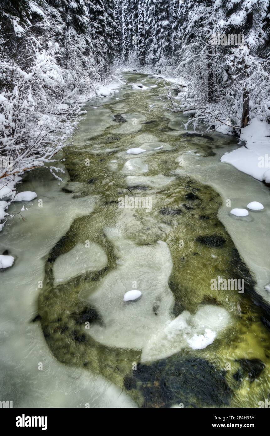 West Fork Yaak River nach Zyklen von Frost und Auftauen. Yaak Valley, nordwestlich von Montana. (Foto von Randy Beacham) Stockfoto