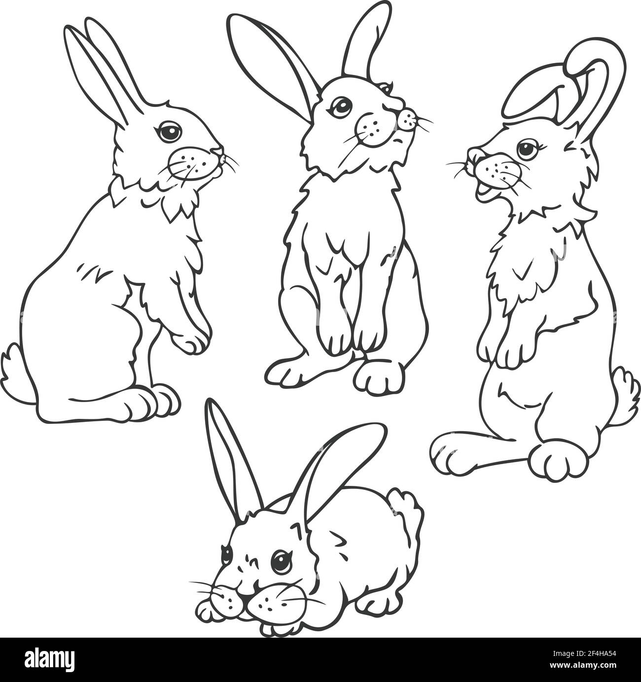 Vector Set von vier Kaninchen in verschiedenen Haltungen. Hae Design für ausmalen. Stock Vektor