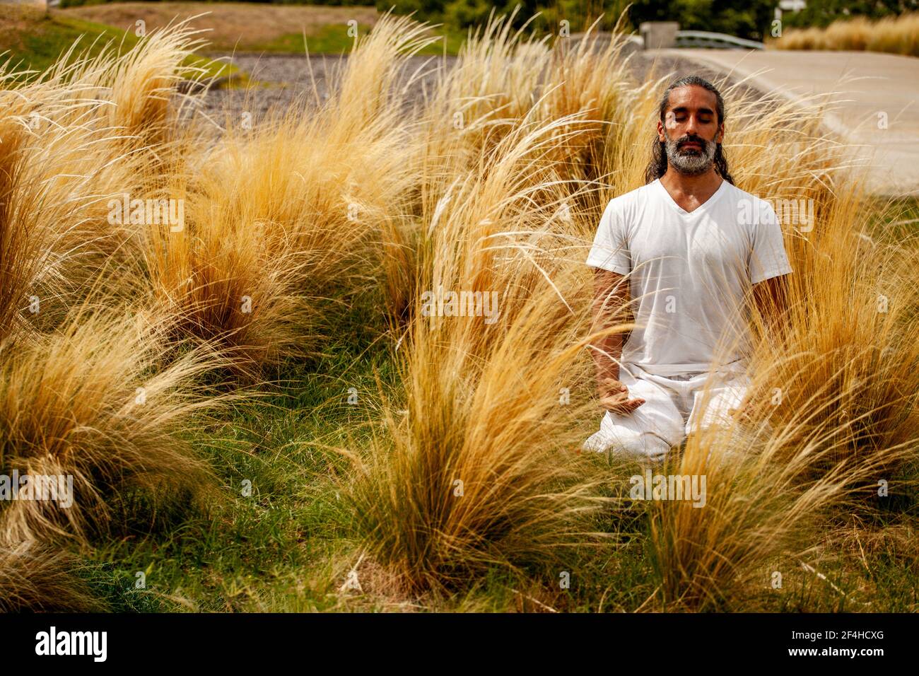 Unrasiert hispanischen Mann in weißer Kleidung sitzt mit geschlossenen Augen Während der Meditation unter goldenem Gras bei Tageslicht Stockfoto