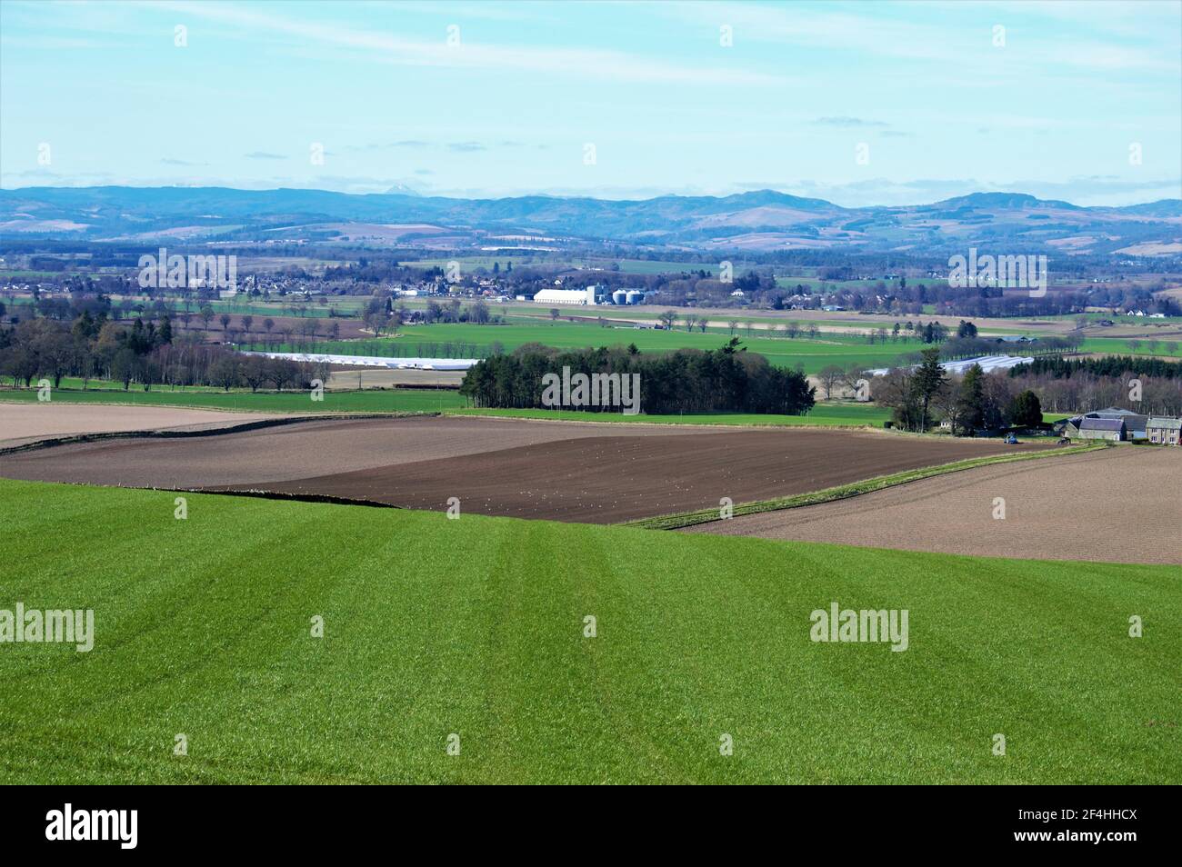 Schottische Landwirtschaft, Coupar Angus, Perthshire, Schottland Stockfoto