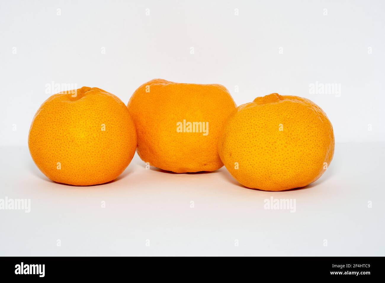 Drei Orange gefärbte Orangen/Mandarinen auf weißem Hintergrund Wissenschaftlicher Name: Citrus reticulata Stockfoto