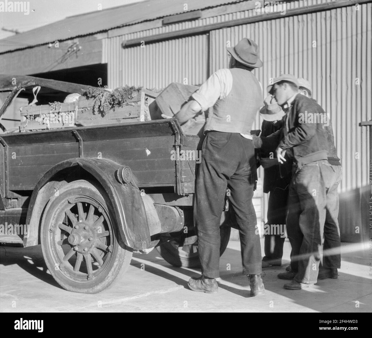 Selbsthilfe-Kooperative, Burbank, Kalifornien. Organisiert Im August 1934. Jetzt hat sechsundsiebzig aktive Mitglieder und ist ziemlich erfolgreich. Haben bei der Resettlement Administration einen Kredit beantragt. Haben Bauernhof von hundert achtzig Hektar, und liefern Gemüse an die Mitglieder. Außerdem liefert die Molkerei täglich 120 Gallonen Milch. 65 Kühe. Foto von Dorothea lange. Stockfoto