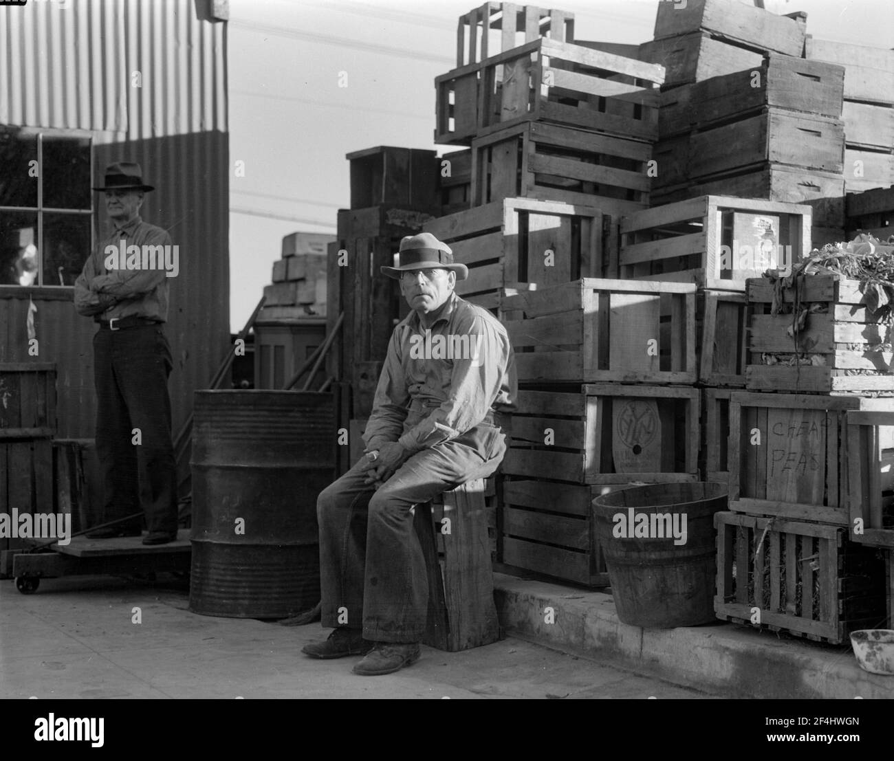 Selbsthilfe-Kooperative, Burbank, Kalifornien. Organisiert Im August 1934. Jetzt hat sechsundsiebzig aktive Mitglieder und ist ziemlich erfolgreich. Haben bei der Resettlement Administration einen Kredit beantragt. Haben Bauernhof von hundert achtzig Hektar, und liefern Gemüse an die Mitglieder. Außerdem liefert die Molkerei täglich 120 Gallonen Milch. 65 Kühe. Foto von Dorothea lange. Stockfoto