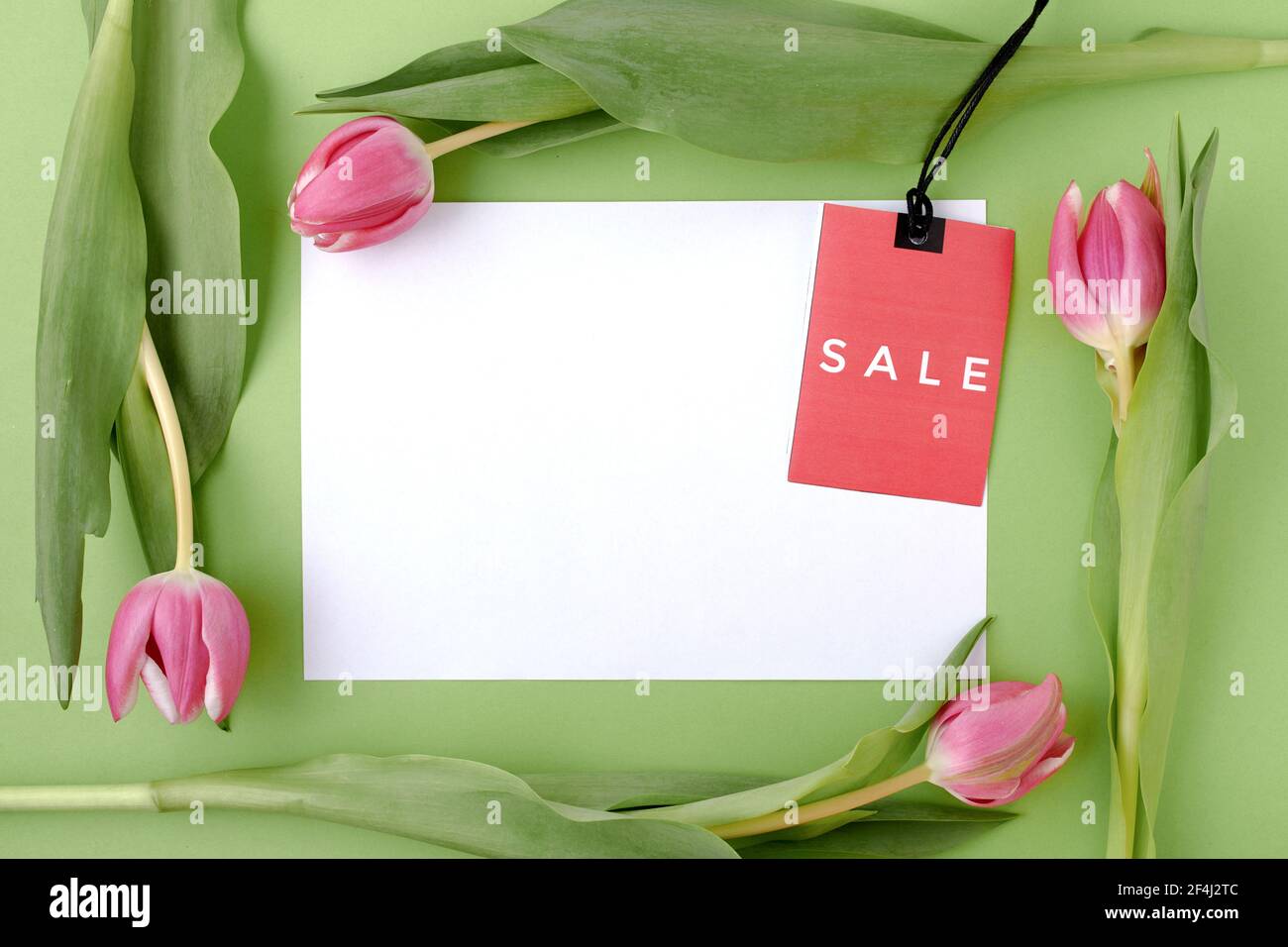Spring flach lag mit Verkauf Etikett, Papier Blatt und Tulpen isoliert auf grünem Hintergrund. Stockfoto