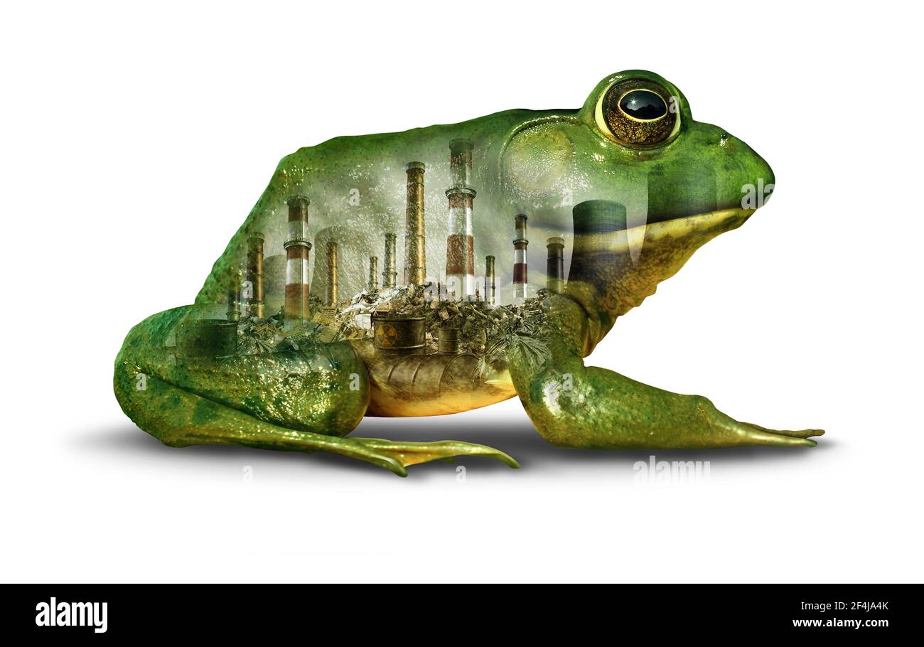 Habitat Pollution Konzept und Umweltschäden oder Klimawandel Dringlichkeit Idee als grüner Frosch mit Verschmutzung und giftigen Chemikalien infiziert. Stockfoto