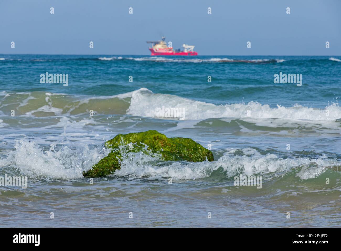 Ebbe. Ein Stein mit Algen bedeckt. Wellen, Seeschiff am Horizont Stockfoto