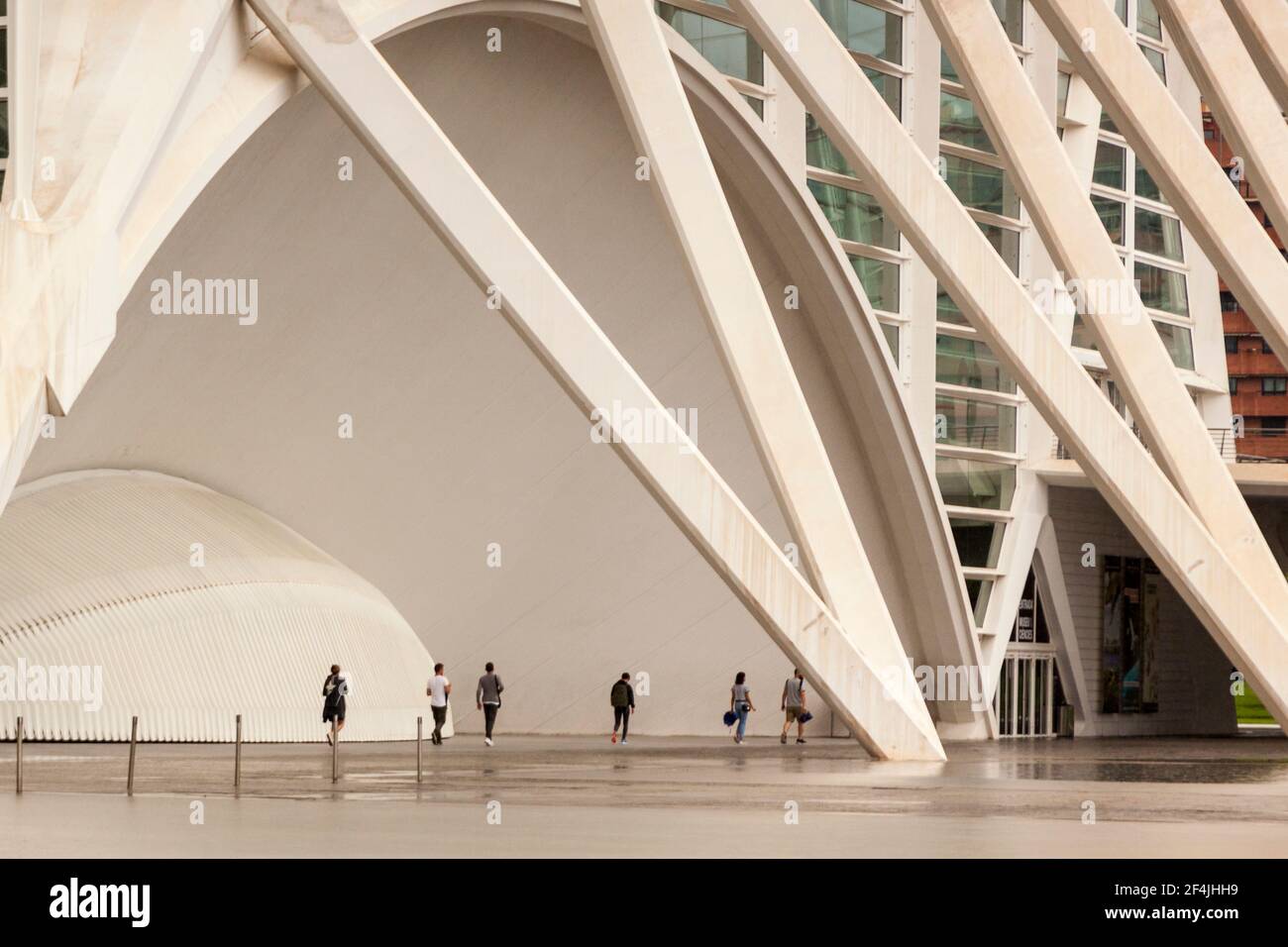 Stadt der Künste und Wissenschaften. Ozeanographisch, hemisphärisch, umbracle, Palast der Künste, Wissenschaftsmuseum, Agora. Valencia. Spanien, Europa. Stockfoto