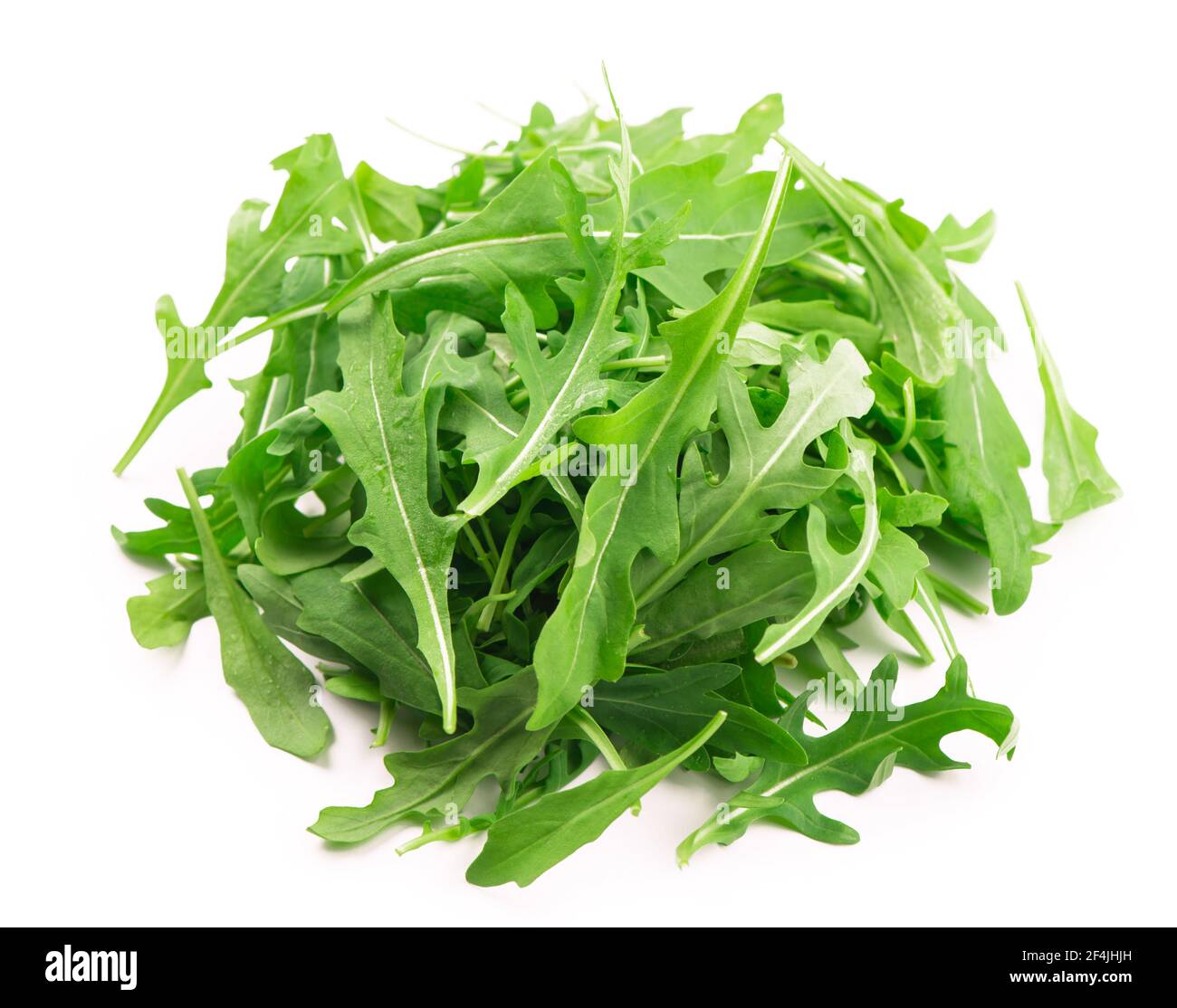 Rucola blatt Fotos und Bildmaterial in hoher Auflösung Alamy