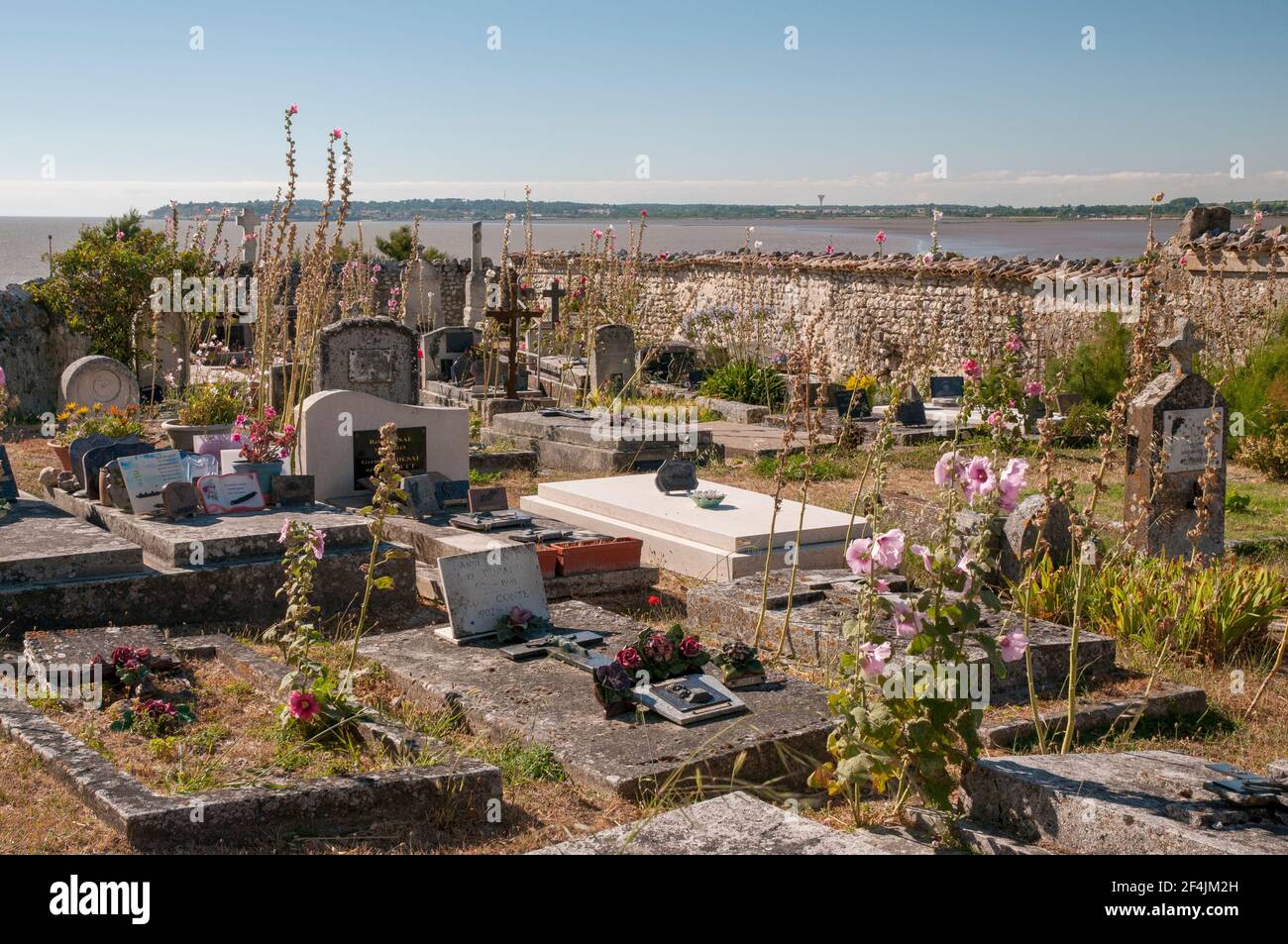 Friedhof von Sainte-Radegonde Kirche (12th Jahrhundert), Talmont-sur-Gironde als eines der schönsten Dörfer Frankreichs aufgeführt, Charente-Maritime (17) Stockfoto