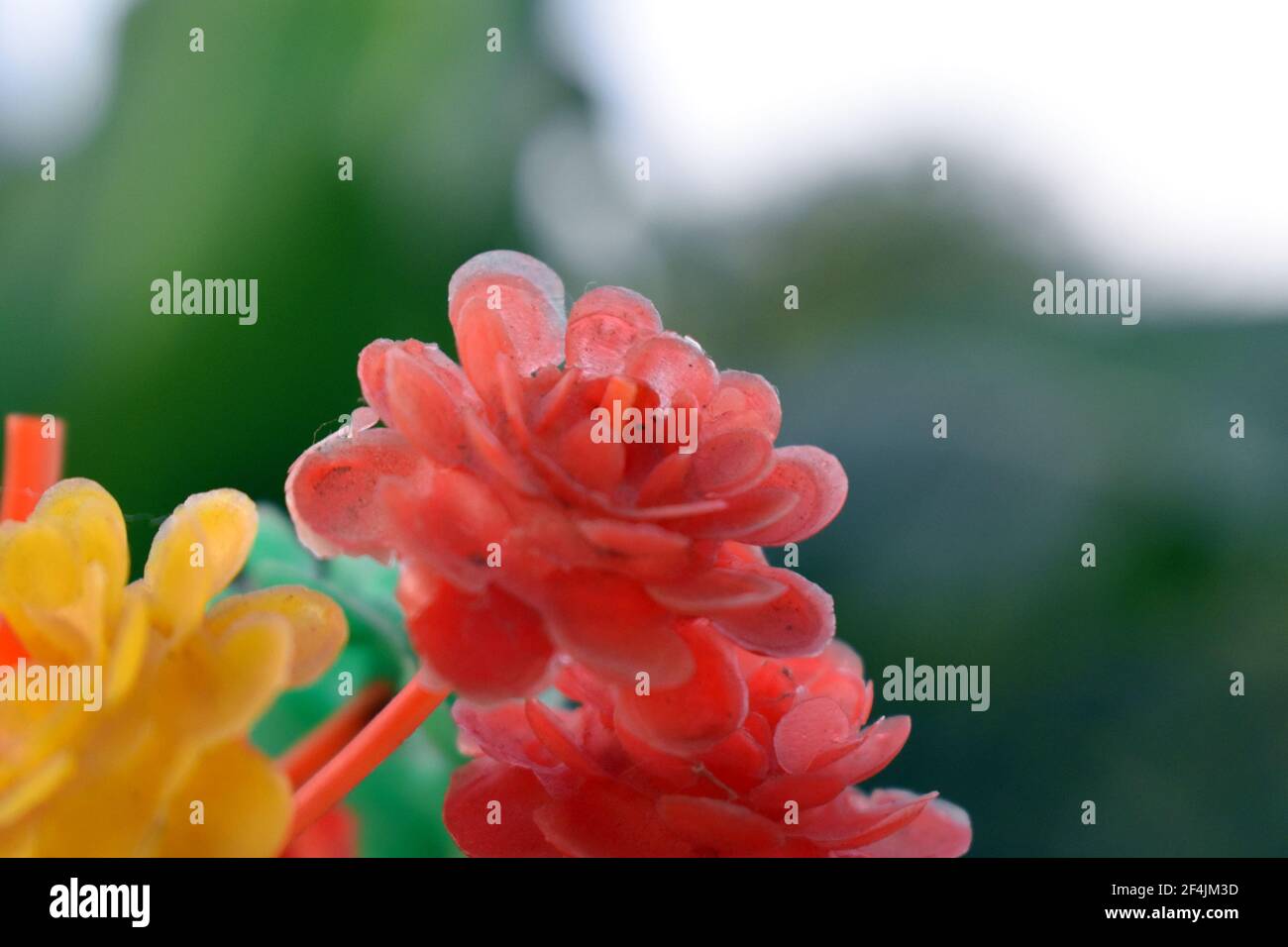 Plastikblumen. Selektiver Bildfokus. Stockfoto