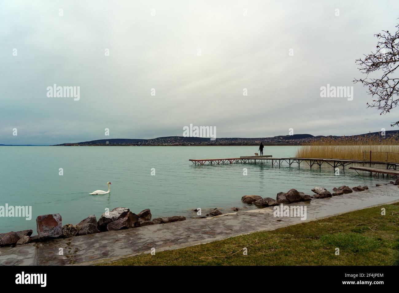 Holzsteg am Plattensee in Balatonfuzfo Ungarn. Stockfoto