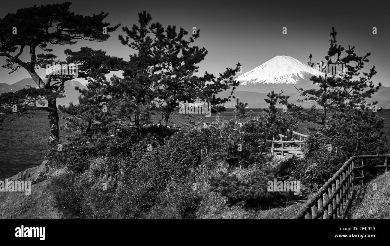 Der Berg Fuji wird von Bäumen auf der Halbinsel Miura in Japan umgeben. Stockfoto