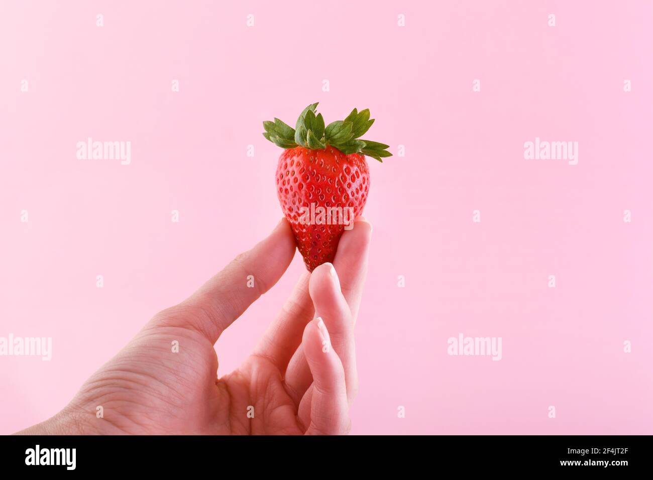 Frau Hand hält Erdbeere auf rosa Hintergrund mit Platz für Text Stockfoto