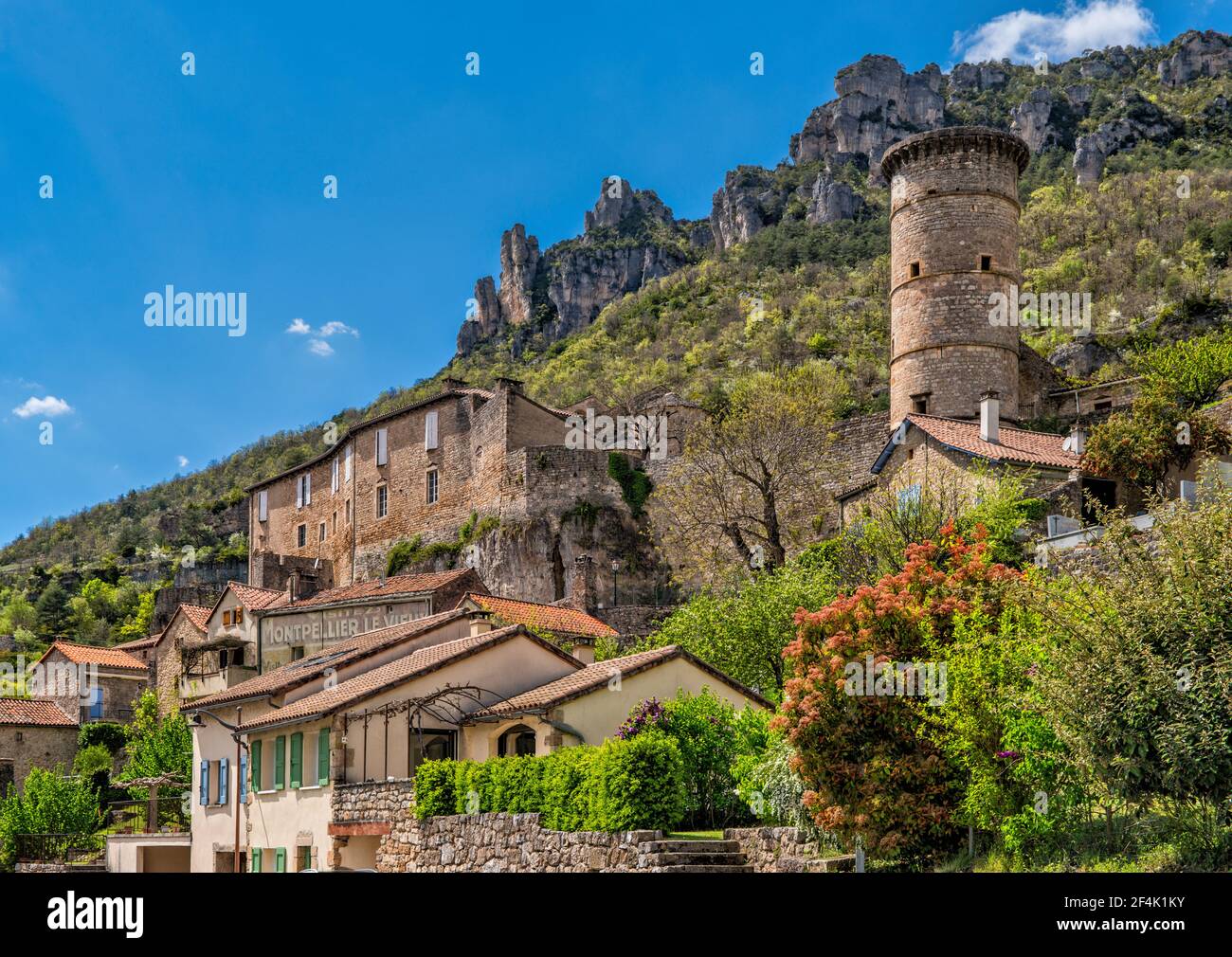 Mittelalterliche Burg und Turm im Dorf La Roque-Saint-Marguerite, Dourbie Schlucht, Rajol Kamm, Aveyron, Causse Noir Plateau, Okzitanien Frankreich Stockfoto