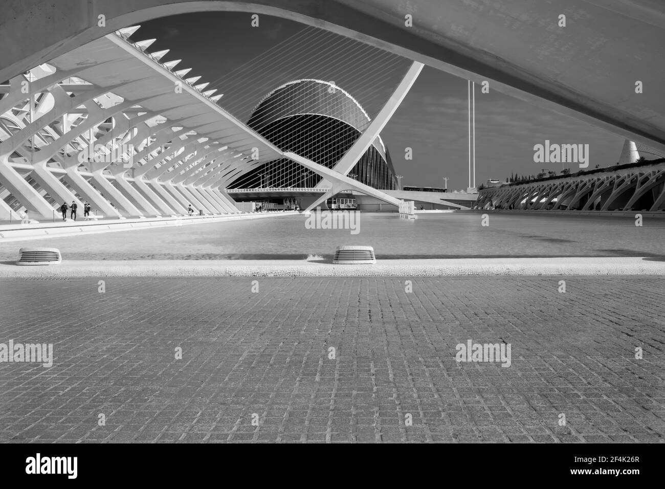 Die harmonischen Geometrien des architektonischen Komplexes genannt Stadt der Künste und Wissenschaften, in der Stadt Valencia, Spanien. Schwarzweiß-Bild Stockfoto