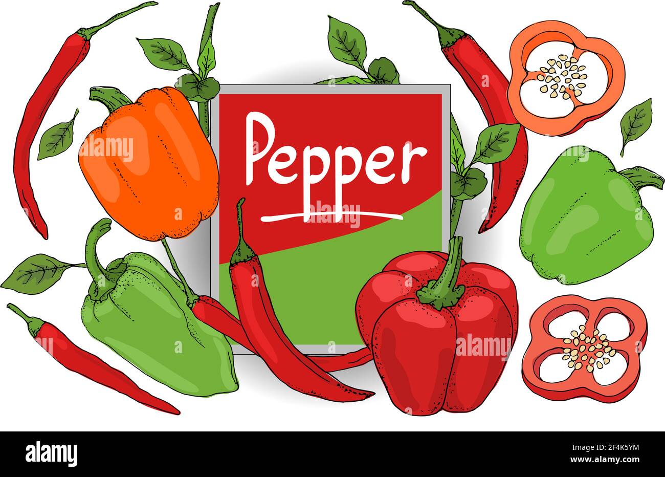 Vector Set mit rotem, grünem, orangenen Pfeffer. Isolierter frischer Pfeffer, Paprika, Chili mit Stielen, Blättern, Samen Stock Vektor
