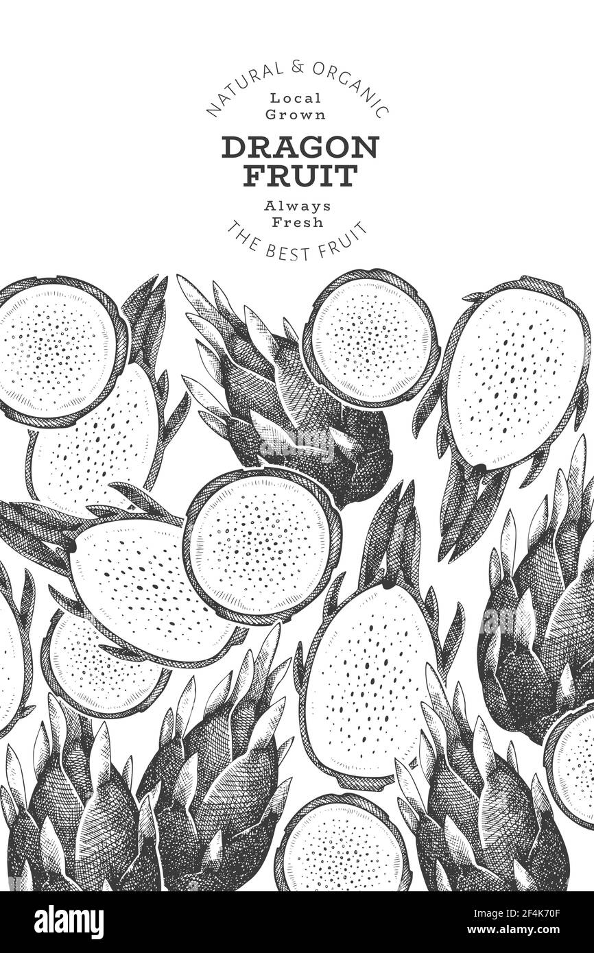Handgezeichnete Drachenfrucht Designvorlage. Vektor-Illustration für Bio-frische Lebensmittel. Retro Pitaya Obst Banner. Stock Vektor