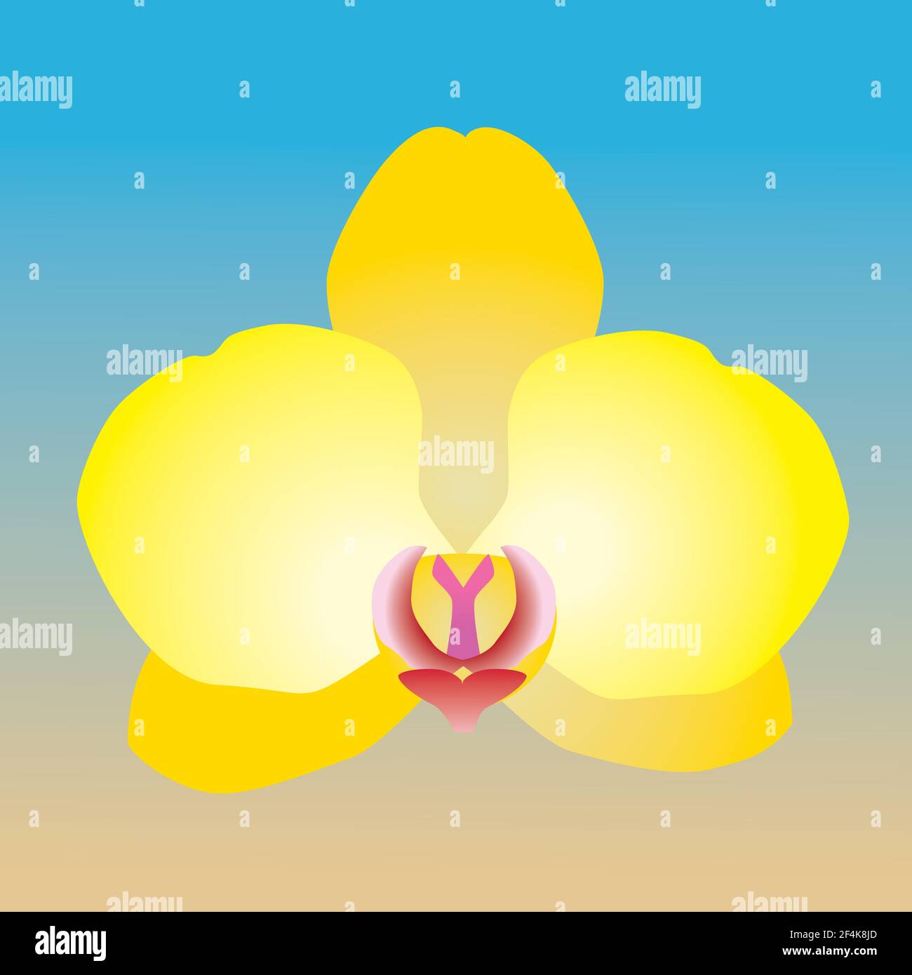 Eine einzige Orchideenblume. Es ist ein gelber Blütenkopf und der Hintergrund ist ein blauer und ockerfarbener Gradient Stock Vektor