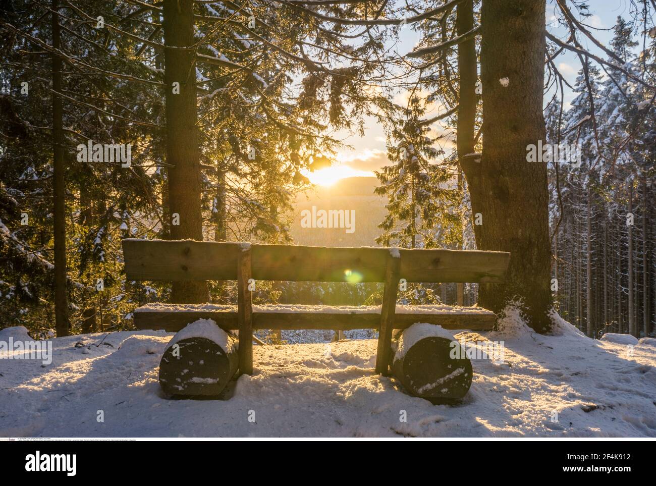 Geographie / Reisen, Deutschland, Sachsen-Anhalt, Nationalpark Harz, Nationalpark Harz im wi, Zusatz-Rechteklärung-Info-nicht-verfügbar Stockfoto