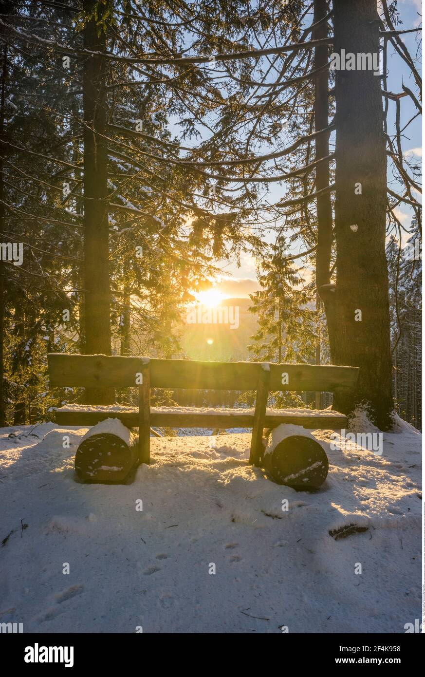 Geographie / Reisen, Deutschland, Sachsen-Anhalt, Nationalpark Harz, Nationalpark Harz im wi, Zusatz-Rechteklärung-Info-nicht-verfügbar Stockfoto