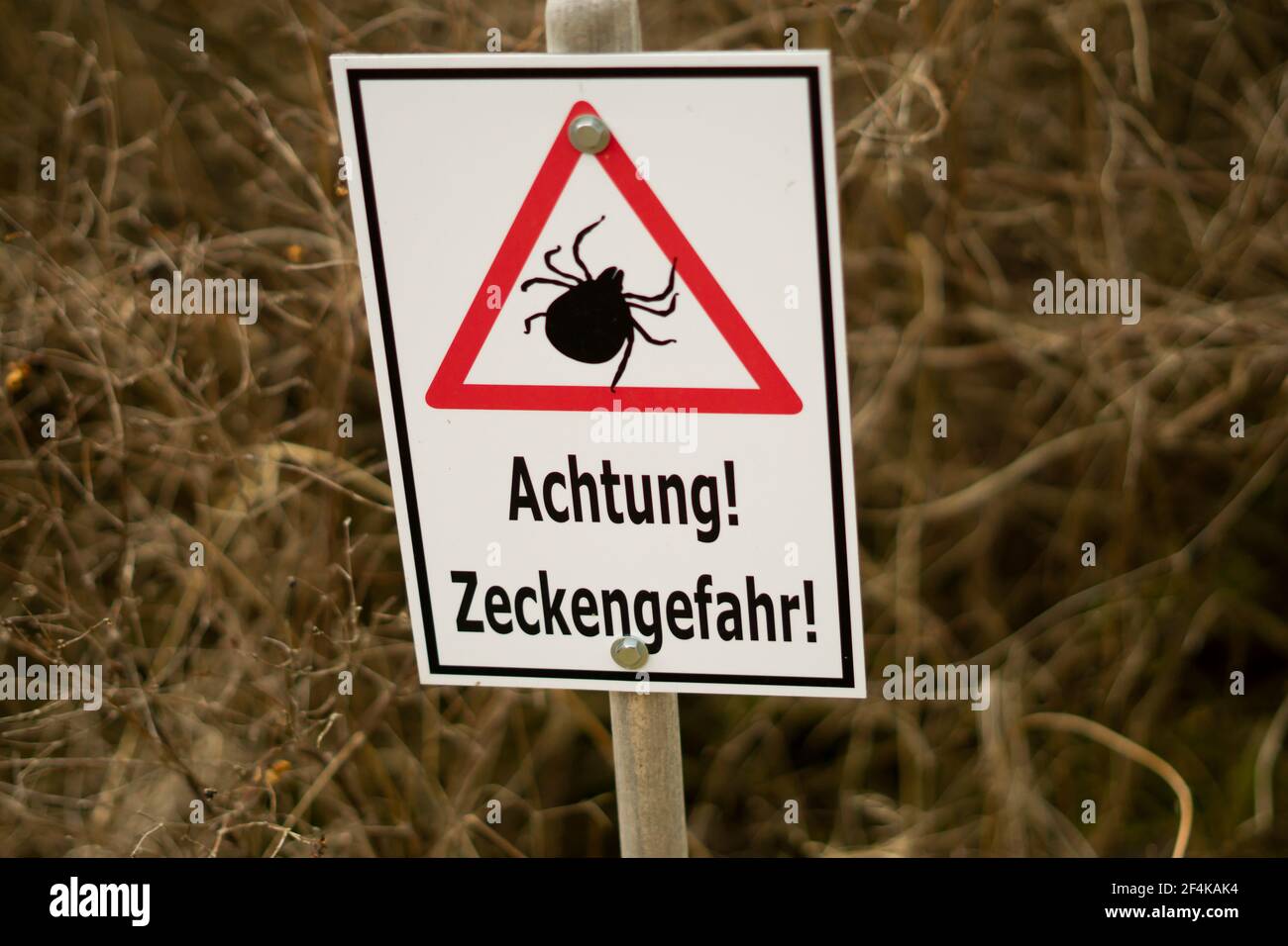 Zecken Warnschild 'Achtung Zeckengefahr!' In Deutschland. Übersetzung: Achtung! Vorsicht vor Zecken! Stockfoto