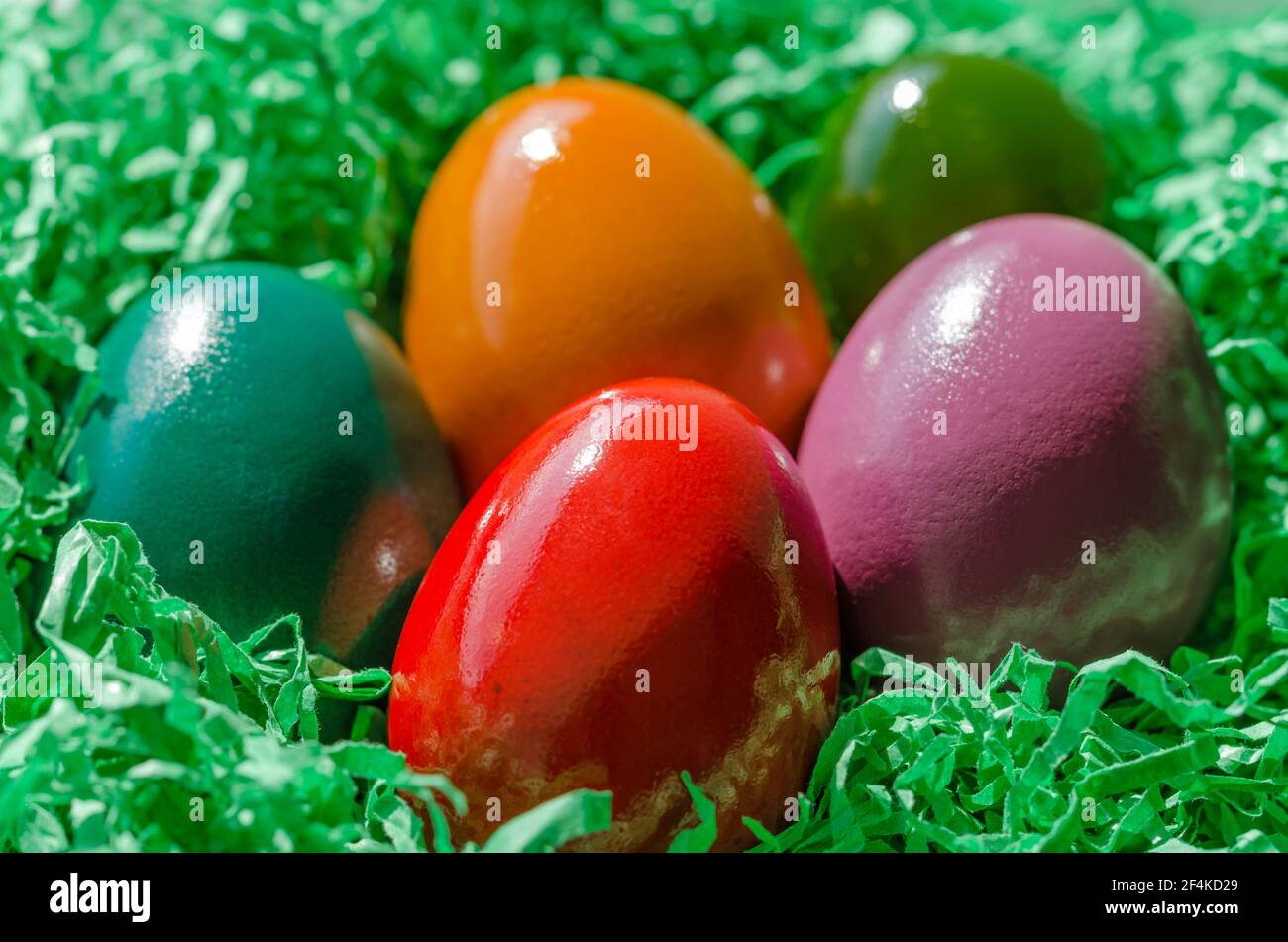 Osternest mit bunten Ostereiern. Ostereier in einem Nest angeordnet, aus grünem geschreddertem Papier. Gruppe von hart gekochten und bunt gefärbten Eiern. Stockfoto