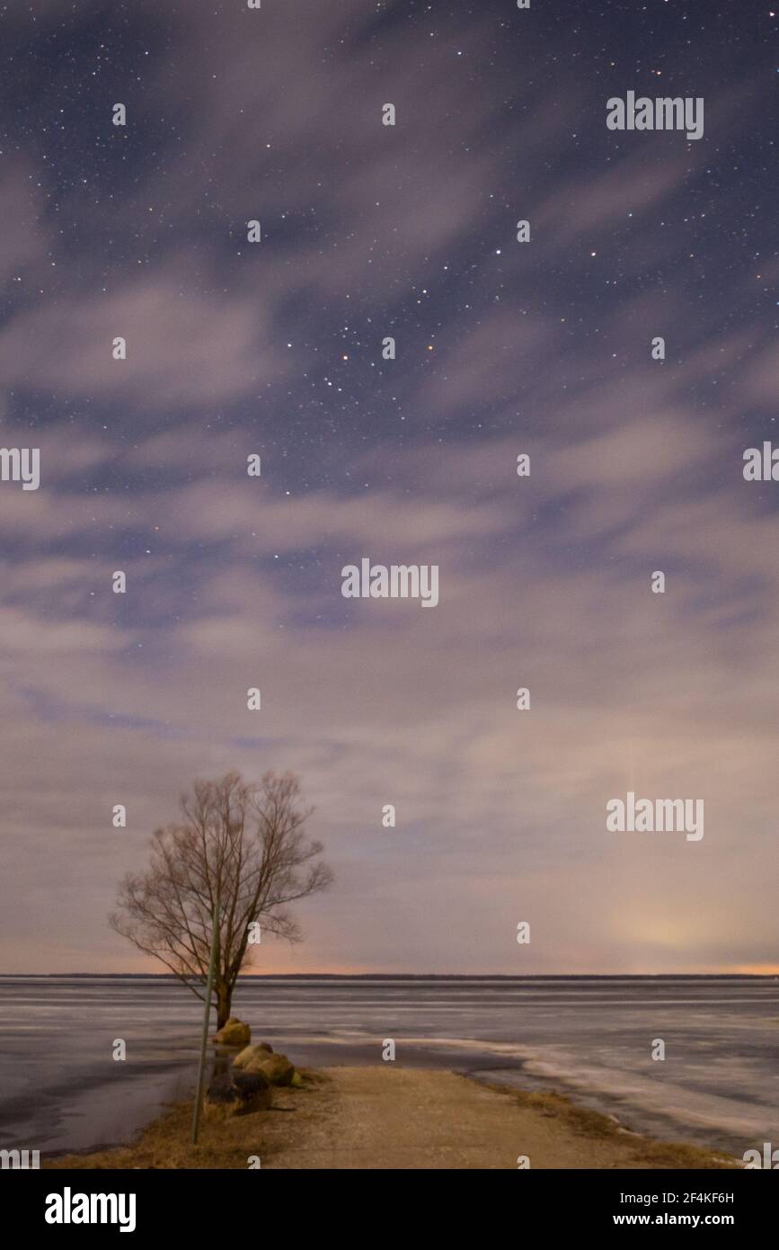 Ein eineinziger Baum am Seeufer bei Nacht mit Sternenhimmel und Wolken. Zufahrtsstraße zum See. Nachtlandschaft. Langzeitbelichtung Stockfoto