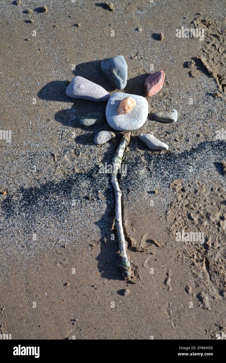 Blumen Kieselsteinkunst an EINEM Sandstrand - Sonnentag Einen Schatten verursachen - Steinkunst - Strandkunst - Still Life - Sand on Filey Beach - Yorkshire Großbritannien Stockfoto