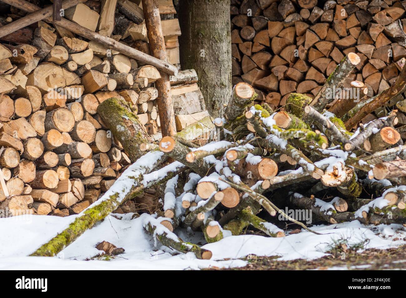 Stapel oder Stapel aus Blöcken, Stücken oder Holzstämmen im Winter oder Frühjahr mit Schnee. Stapelholz zum Trocknen und Lagern Stockfoto