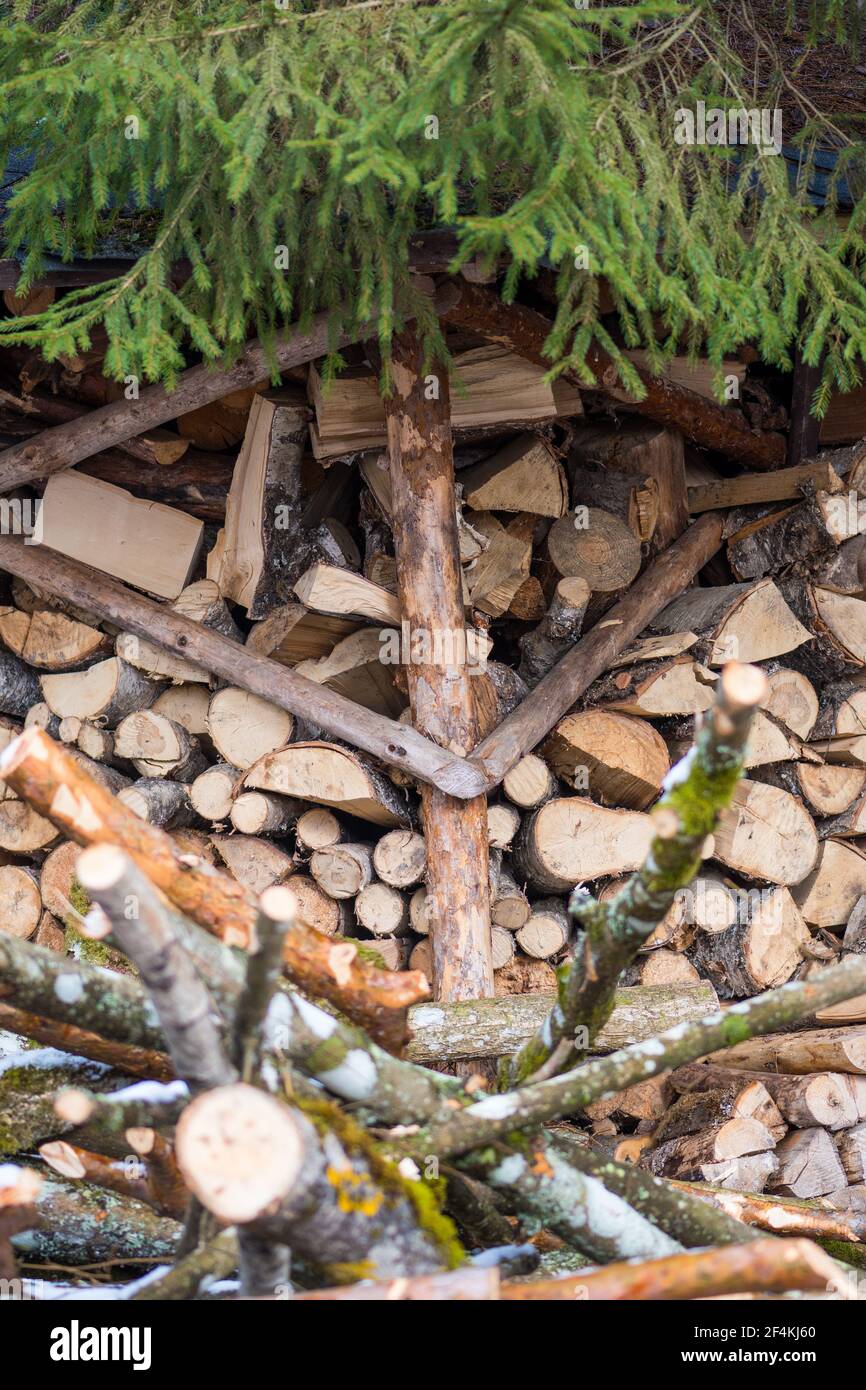 Stapel oder Stapel aus Blöcken, Stücken oder Holzstämmen im Winter oder Frühjahr. Stapelholz zum Trocknen und Lagern, vertikal Stockfoto