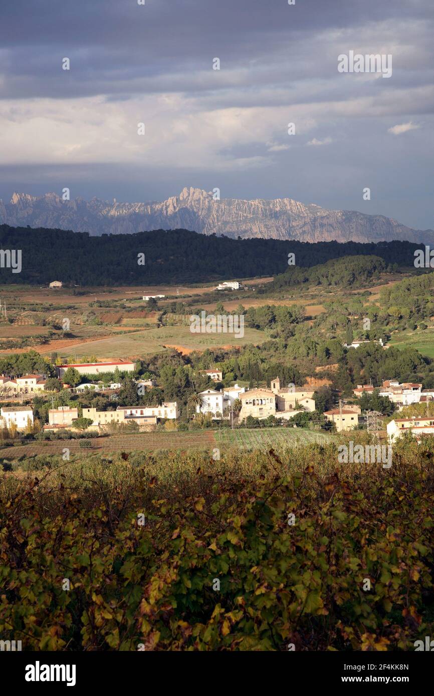 SPANIEN - Alt Penedés (Bezirk) - Katalonien - Barcelona. Torrelavit; vista del Pueblo y viñedos con Montaña de Montserrat al fondo Stockfoto