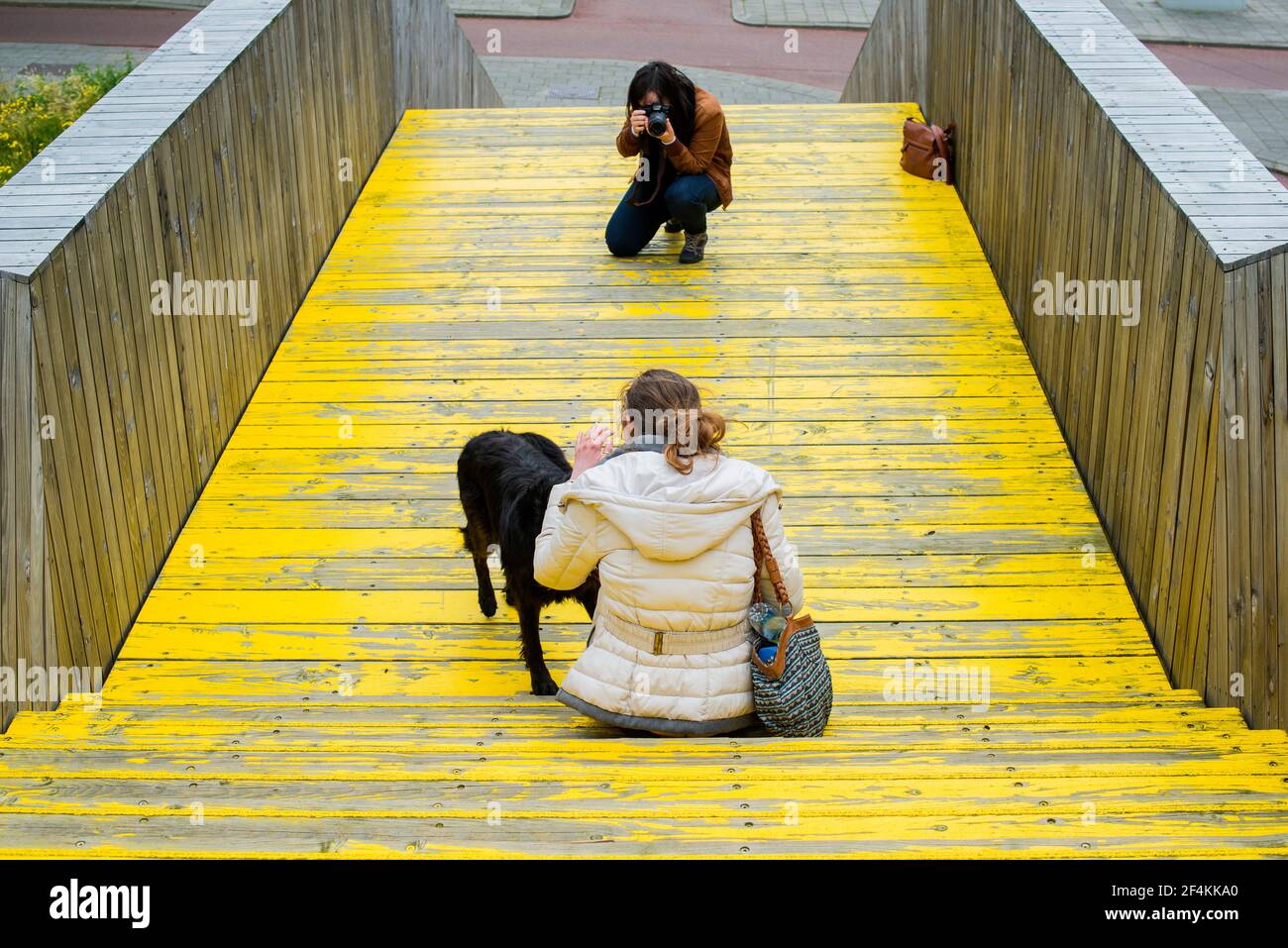 Rotterdam, Niederlande. Das junge belgische Mädchen und ihr Hund werden von einer Freundin fotografiert, während sie auf einer Strandpromenade sitzen. Stockfoto