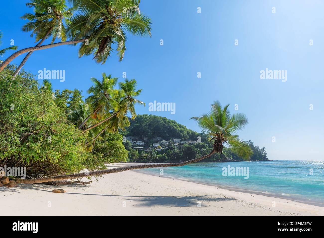 Coco Palmen im Paradies Sonnenstrand und tropisches Meer. Sommerurlaub und tropisches Strandkonzept. Stockfoto