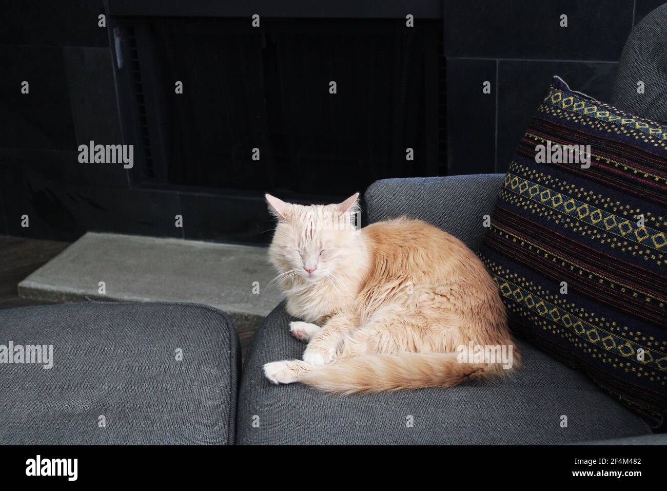 Meine Katze namens Naome schlappte glücklich auf dem Stuhl vorbei Unser Kamin Stockfoto