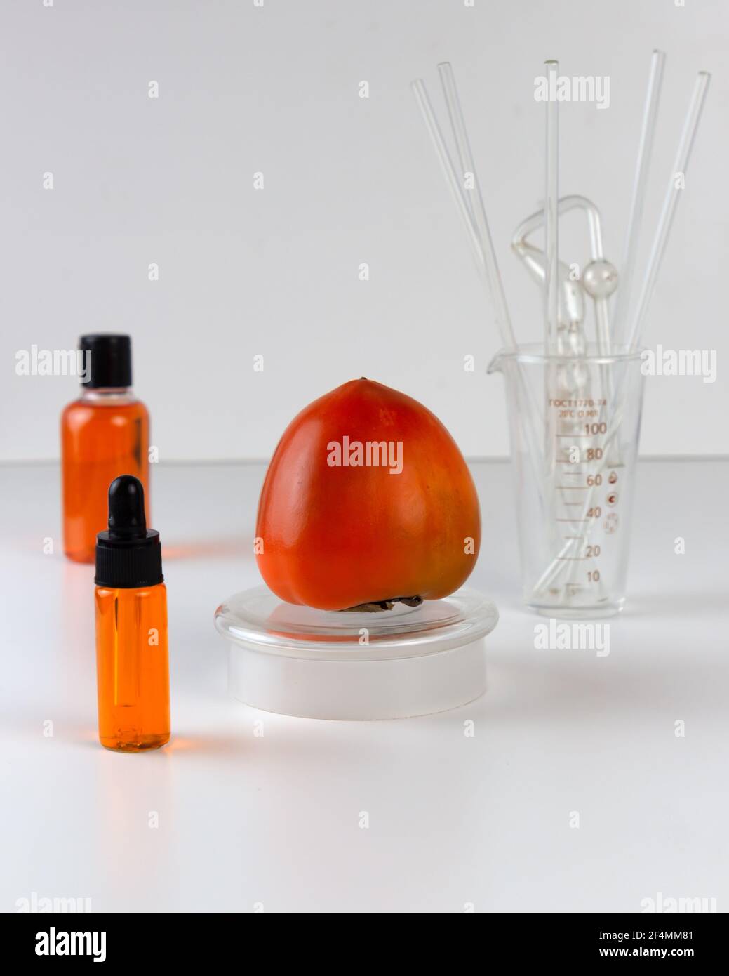Reife Bio-Persimmonfrucht und Persimmonextrakt in Kosmetikflasche mit Tropf. Abstraktes chemisches oder kosmetisches Labor. Stockfoto