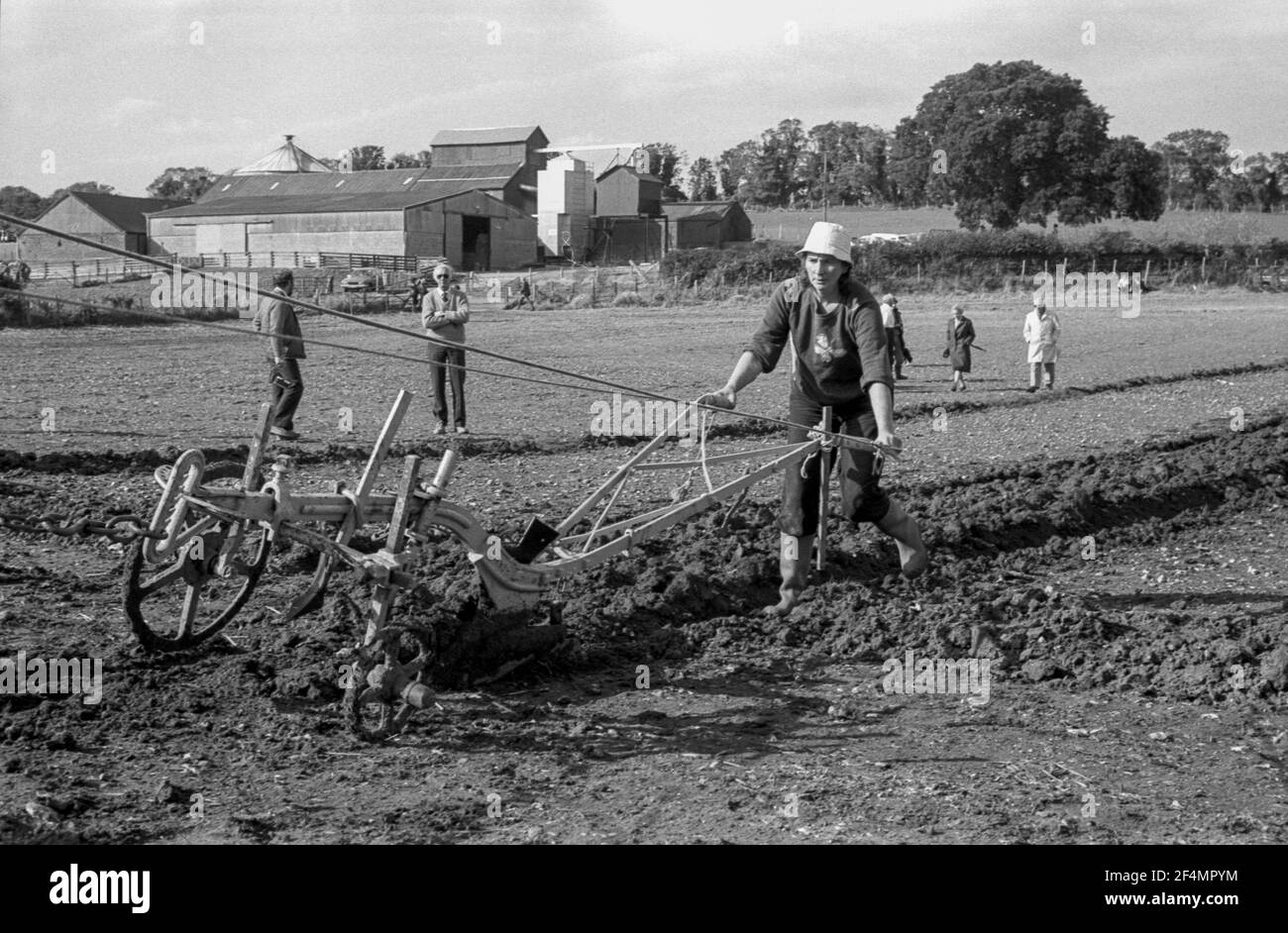 East Kent Ladies Pflügen Wettbewerb mit Pferden. Frau pflügt Feld Stockfoto