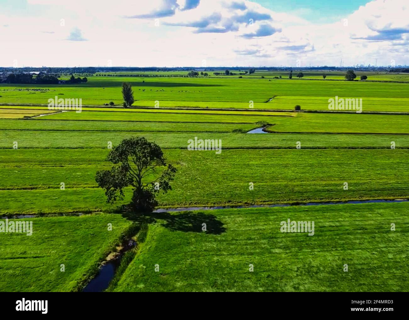 Dieses Drohnenbild der typischen holländischen Landschaft wurde am frühen Morgen in der Nähe von Oud Alblas in den Niederlanden aufgenommen. Stockfoto