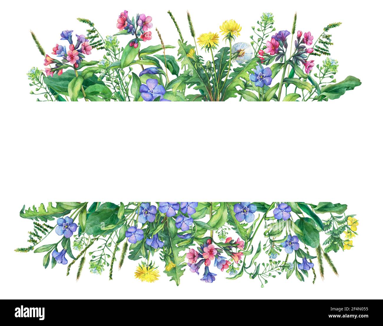 Banner mit wilden Wiesenblumen und Gras. Horizontale Schablone mit Feldblumen und Kräutern. Aquarell-Illustration isoliert auf weißem Hintergrund. Stockfoto