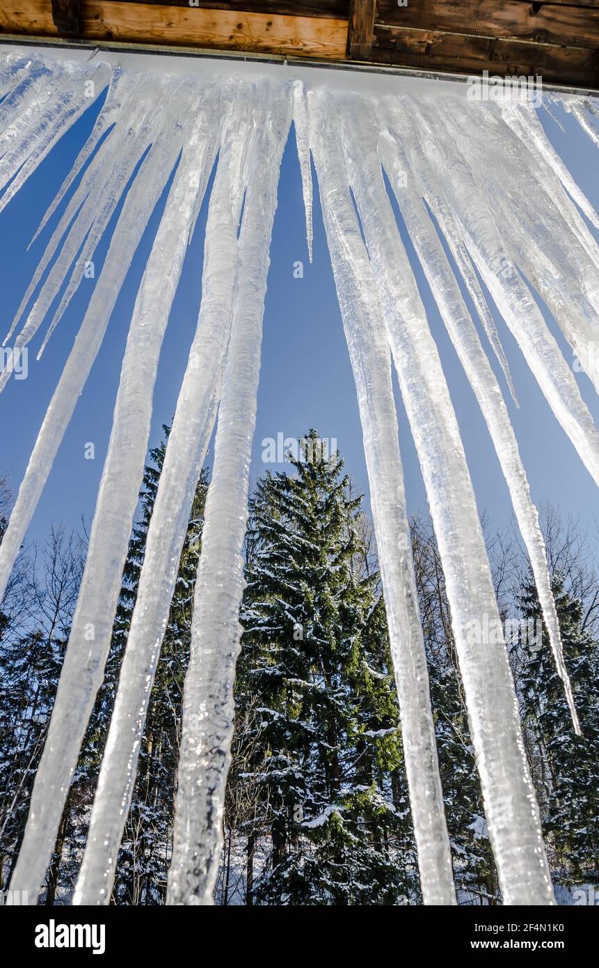 Wenn Sie Eiszapfen an der Kante eines Daches hängen sehen, kann es ein Zeichen für einen Eisdamm sein. Ein Eisdamm ist ein Eiskamm, der sich am Rand eines Daches bildet. Stockfoto