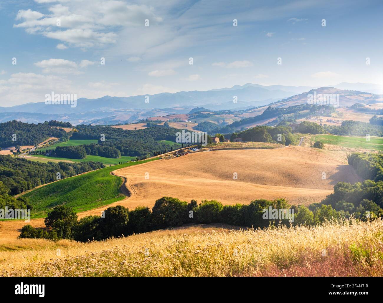 Sanfte Hügel, goldene Wiese und grüne Landschaft in der Toskana, Italien Stockfoto