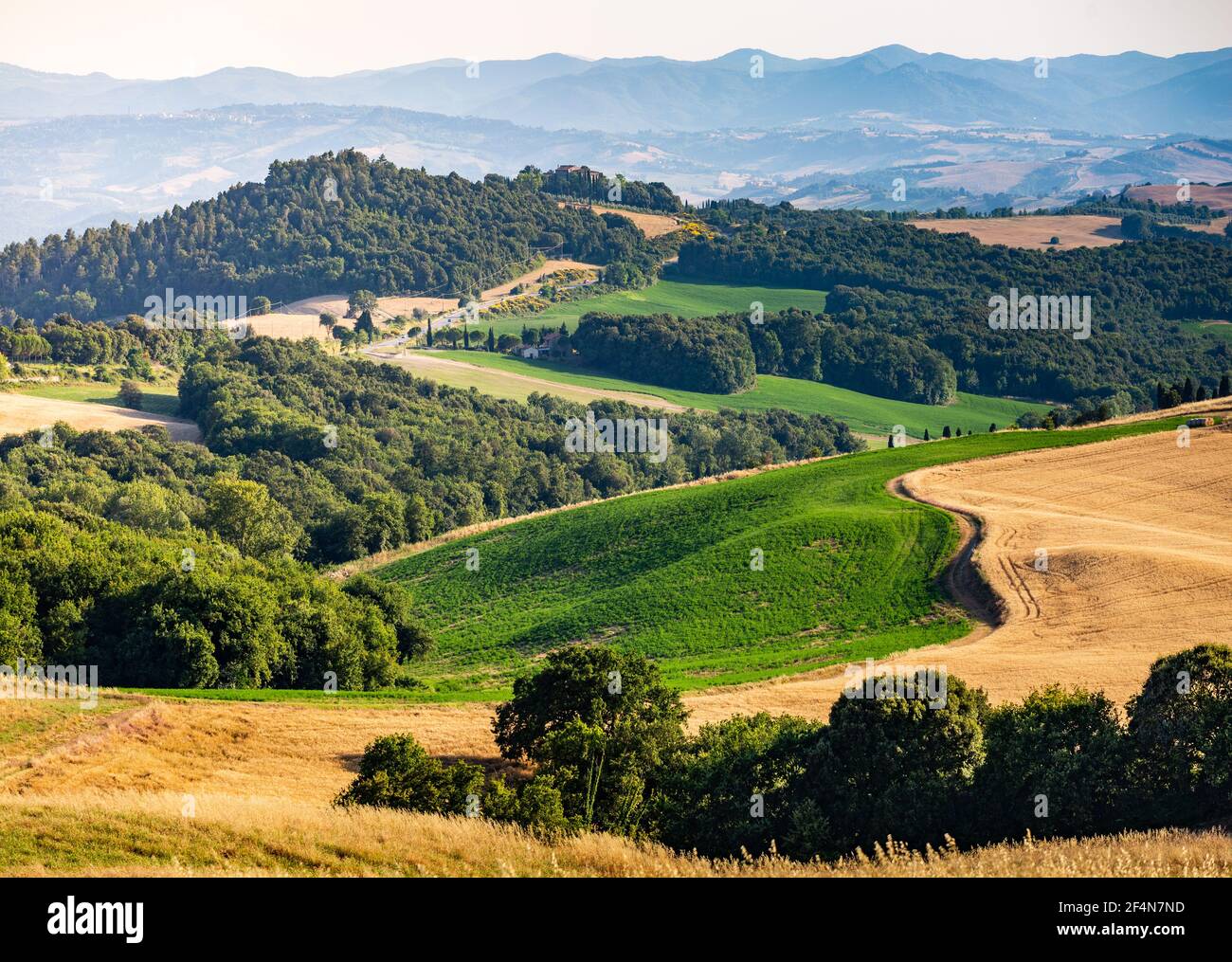Sanfte Hügel, goldene Wiese und grüne Landschaft in der Toskana, Italien Stockfoto