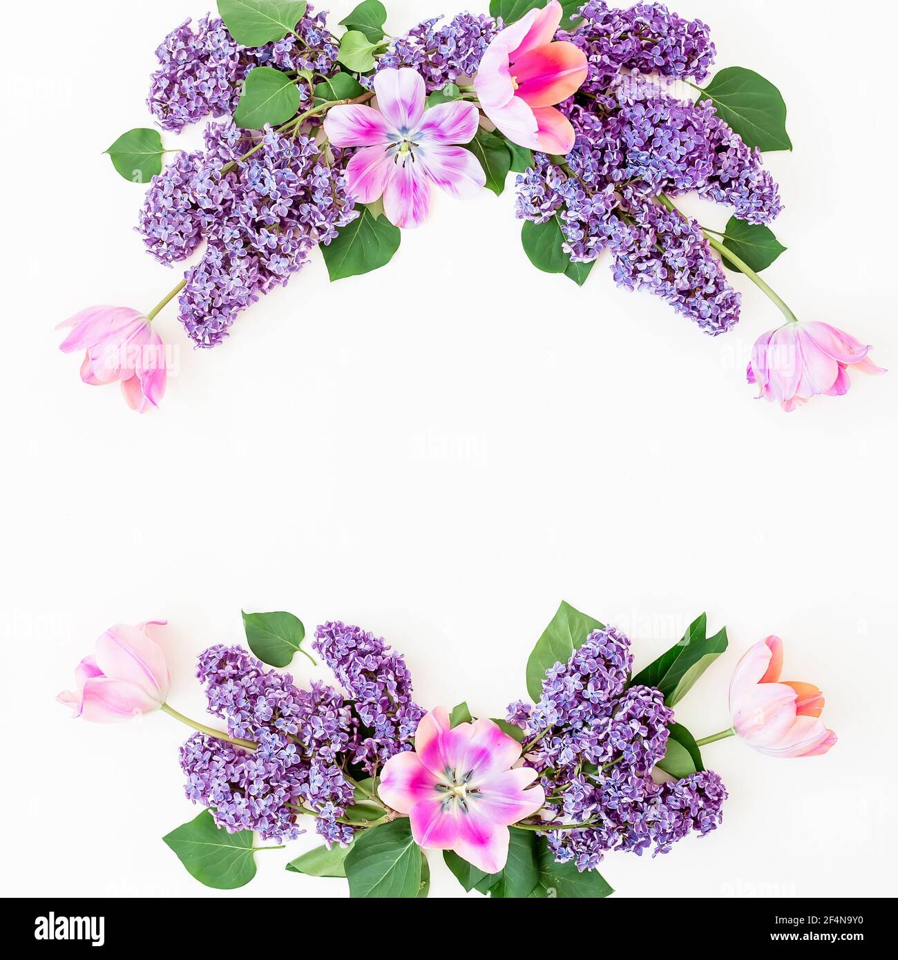 Rahmen aus Flieder und Tulpen Blumen auf weiß. Flach liegend, Draufsicht Stockfoto