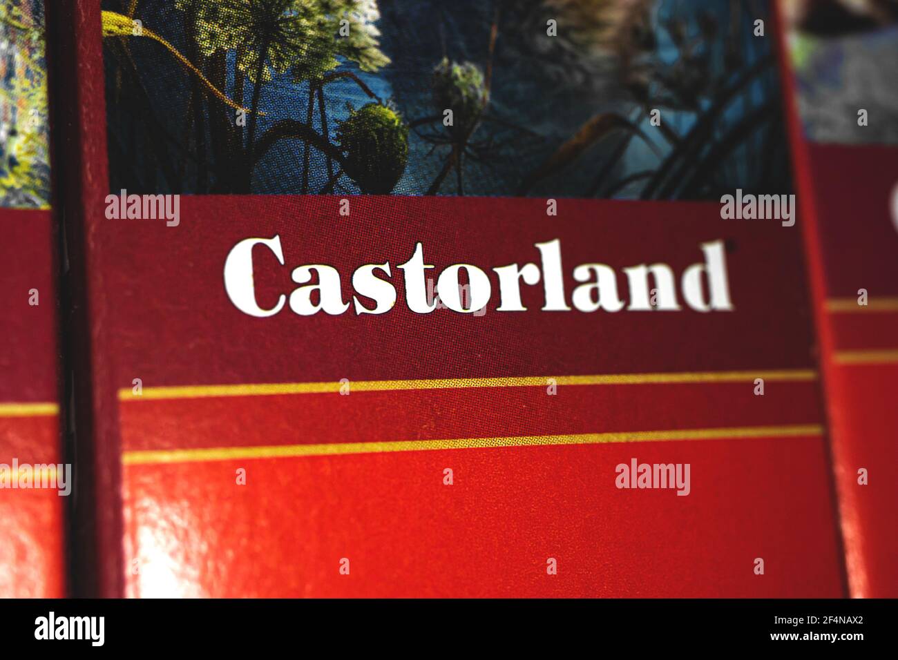 Charkow, Ukraine - 22. März 2021: Castorland Puzzle-Logo aus nächster Nähe Stockfoto